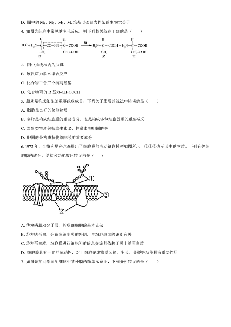 黑龙江省佳木斯高中教学联合体2023-2024学年高三上学期10月月考试题生物(1)_2023年10月_01每日更新_18号_2024届黑龙江省佳木斯高中教学联合体高三上学期10月月考