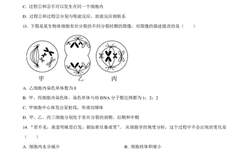 黑龙江省佳木斯高中教学联合体2023-2024学年高三上学期10月月考试题生物(1)_2023年10月_01每日更新_18号_2024届黑龙江省佳木斯高中教学联合体高三上学期10月月考