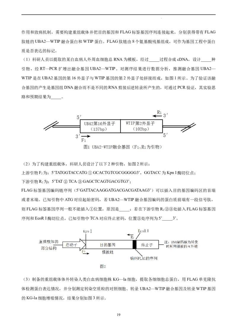 生物（山东卷）（全解全析）_2023高考押题卷_学易金卷-2023学科网押题卷（各科各版本）_2023学科网押题卷-学易金卷-生物_生物（山东卷）-学易金卷：2023年高考考前押题密卷