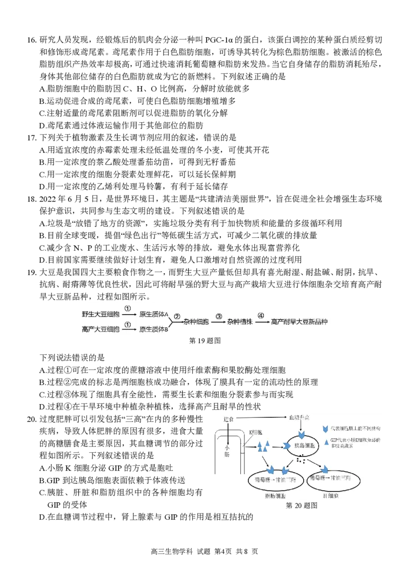 高三生物试题定稿_2023年7月_01每日更新_31号_2023届浙江省七彩阳光新高考研究联盟高三上学期返校联考_浙江省七彩阳光新高考研究联盟2022-2023学年高三上学期返校联考生物