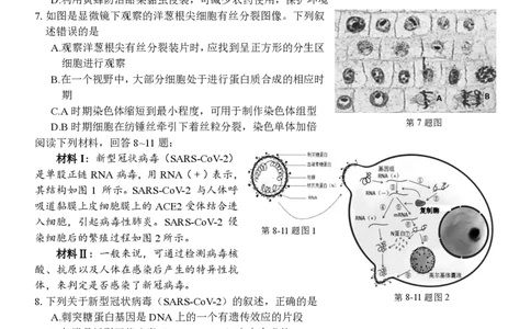 高三生物试题定稿_2023年7月_01每日更新_31号_2023届浙江省七彩阳光新高考研究联盟高三上学期返校联考_浙江省七彩阳光新高考研究联盟2022-2023学年高三上学期返校联考生物