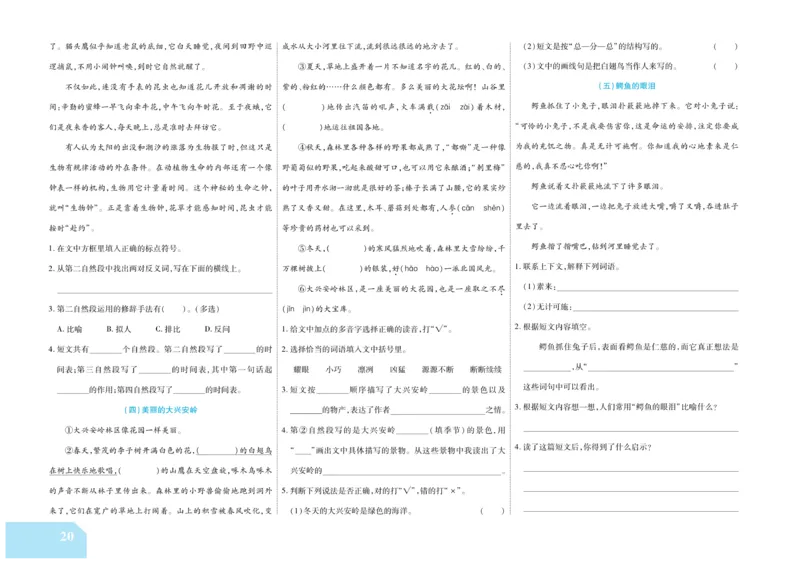 《金考100分》语文3年级上册（RJ）_三年级上下册资料_小学三年级学习资料-25年更新版_3-01、小学三年级语文上册_3-1-2、练习题、作业、试题、试卷_电子册类