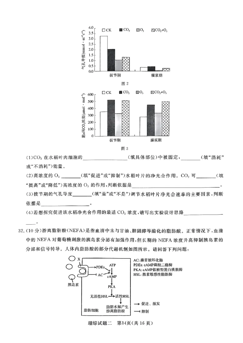 2024届河南省南阳市第一中学校高三下学期高考冲刺押题卷（二）理科综合试题_2024年5月_01按日期_20号_2024届青桐鸣大联考高三押题卷（二）_青桐鸣2024届高三押题卷（二）理科综合试题
