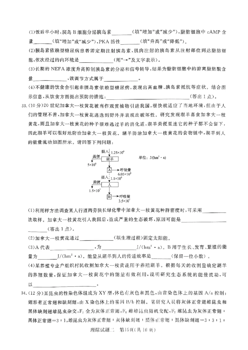 2024届河南省南阳市第一中学校高三下学期高考冲刺押题卷（二）理科综合试题_2024年5月_01按日期_20号_2024届青桐鸣大联考高三押题卷（二）_青桐鸣2024届高三押题卷（二）理科综合试题