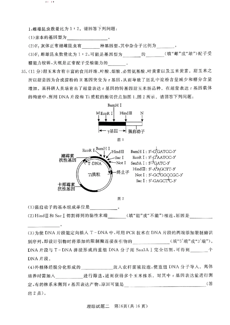2024届河南省南阳市第一中学校高三下学期高考冲刺押题卷（二）理科综合试题_2024年5月_01按日期_20号_2024届青桐鸣大联考高三押题卷（二）_青桐鸣2024届高三押题卷（二）理科综合试题