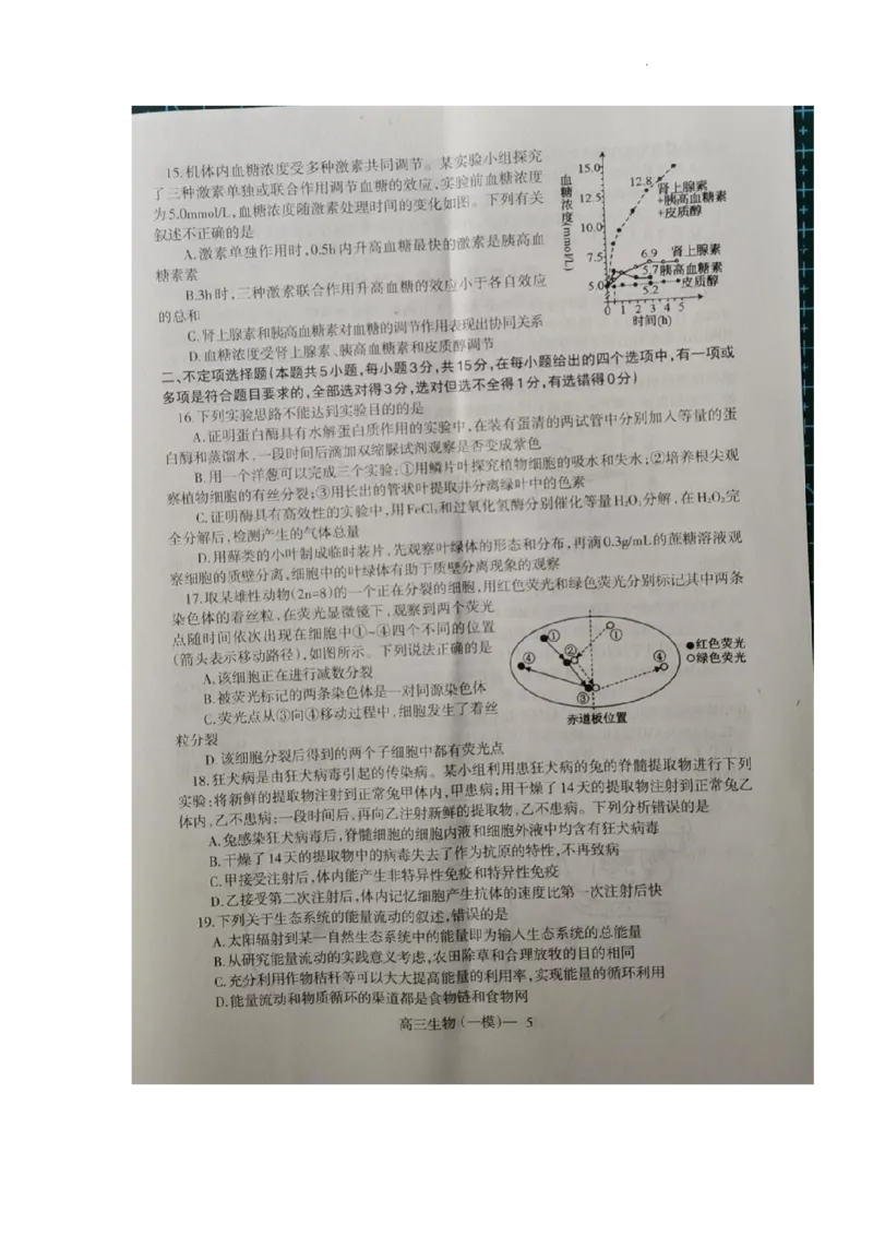 2023届辽宁省协作校高三下学期第一次模拟考试生物试题_2024年2月_01每日更新_15号_2023届辽宁省协作校高三下学期第一次模拟考试全科