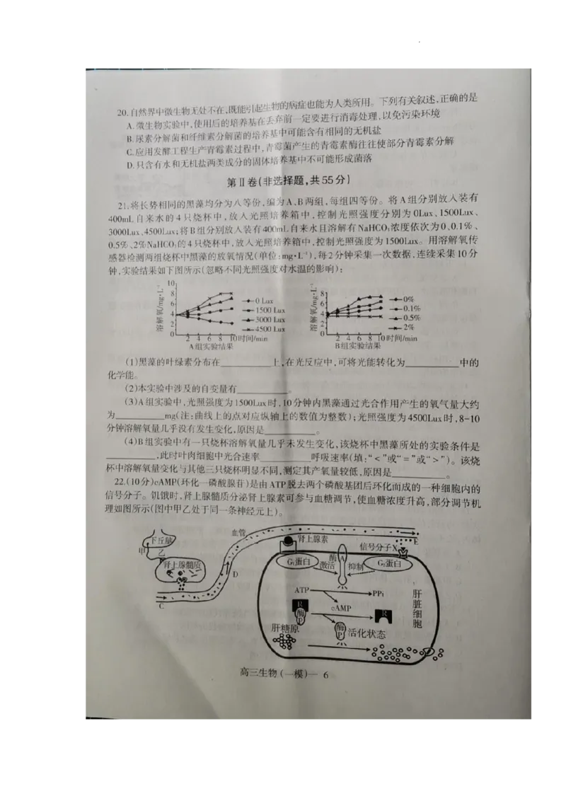 2023届辽宁省协作校高三下学期第一次模拟考试生物试题_2024年2月_01每日更新_15号_2023届辽宁省协作校高三下学期第一次模拟考试全科