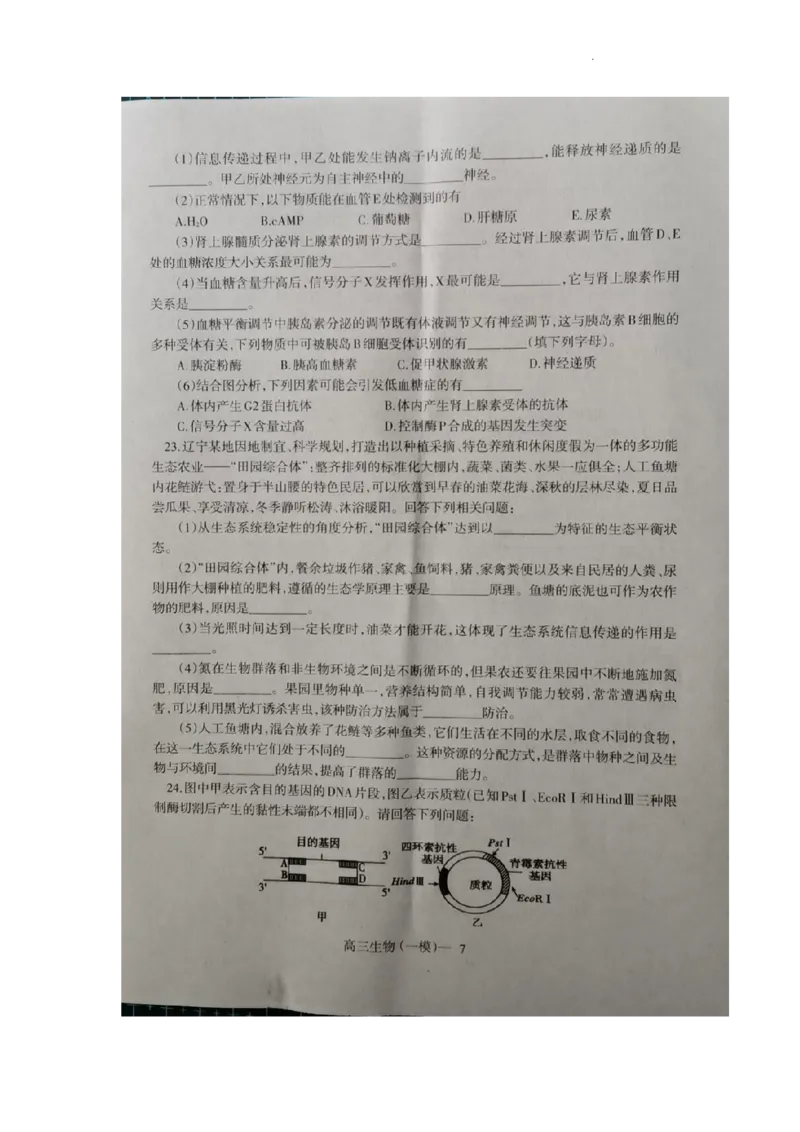 2023届辽宁省协作校高三下学期第一次模拟考试生物试题_2024年2月_01每日更新_15号_2023届辽宁省协作校高三下学期第一次模拟考试全科