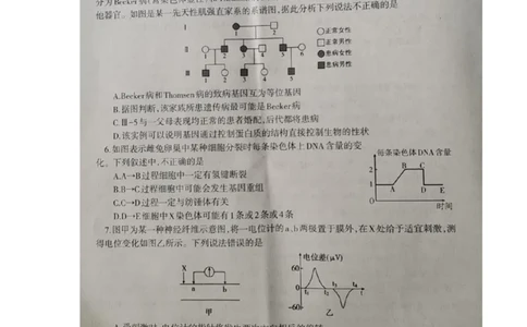 2023届辽宁省协作校高三下学期第一次模拟考试生物试题_2024年2月_01每日更新_15号_2023届辽宁省协作校高三下学期第一次模拟考试全科