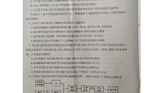 2023届辽宁省协作校高三下学期第一次模拟考试生物试题_2024年2月_01每日更新_15号_2023届辽宁省协作校高三下学期第一次模拟考试全科