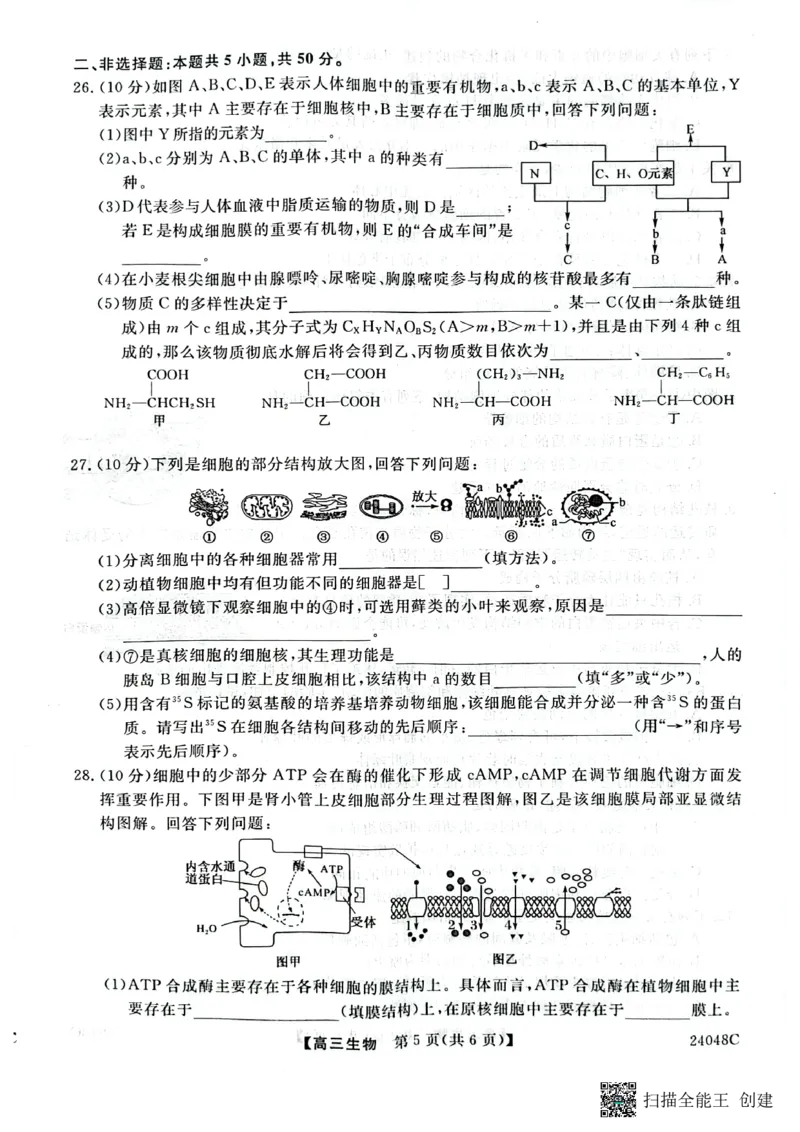 陕西省咸阳市永寿县中学2023-2024学年度高三第一次考试生物(1)_2023年9月_029月合集_2024届陕西省咸阳永寿县中学高三上学期第一次考试