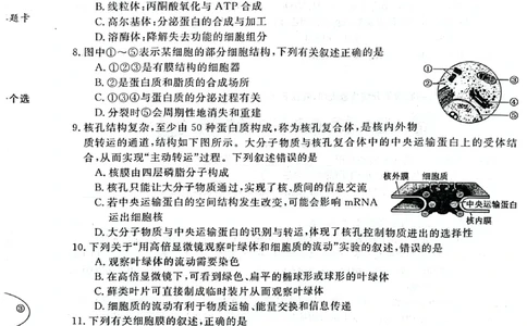 陕西省咸阳市永寿县中学2023-2024学年度高三第一次考试生物(1)_2023年9月_029月合集_2024届陕西省咸阳永寿县中学高三上学期第一次考试