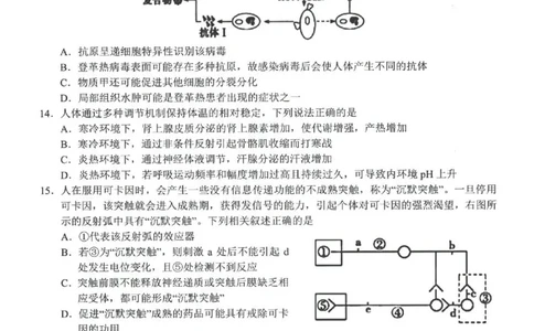 浙江省A9协作体2022-2023学年高三上学期暑假返校联考生物试题_2023年7月_01每日更新_24号_2023届浙江省A9协作体高三上学期暑假返校联考