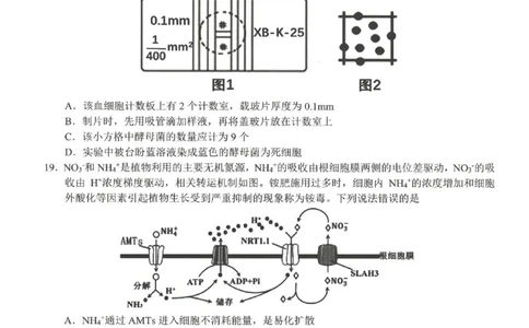 浙江省A9协作体2022-2023学年高三上学期暑假返校联考生物试题_2023年7月_01每日更新_24号_2023届浙江省A9协作体高三上学期暑假返校联考