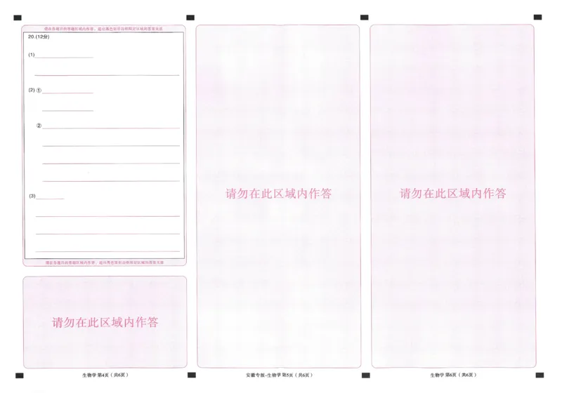 王后雄高考押题预测卷2024安徽专版答题卡_2024高考押题卷_22024王hou雄_（新高考）2024王后雄押题预测卷（分科版）_1.语文