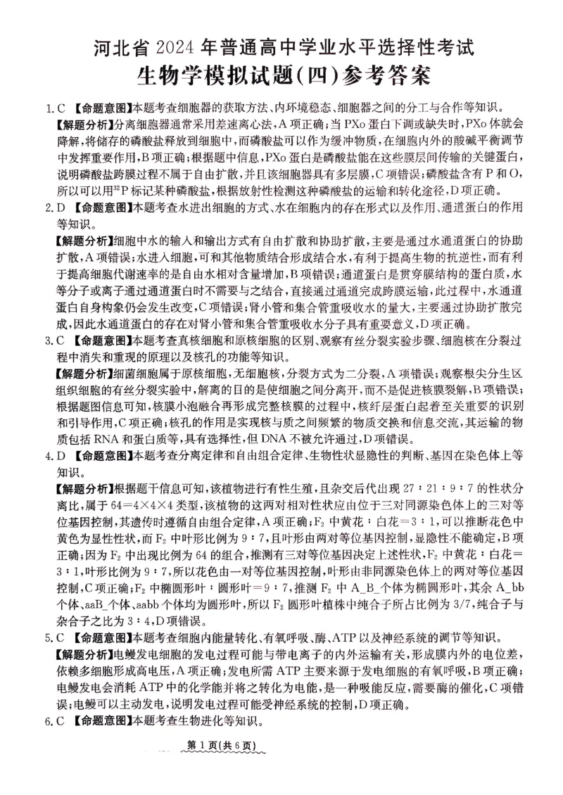 2024届河北省高三下学期普通高中学业水平选择性考试生物参考答案_2024年3月_013月合集_2024届河北省高中学业水平选择性考试模拟试题（四）