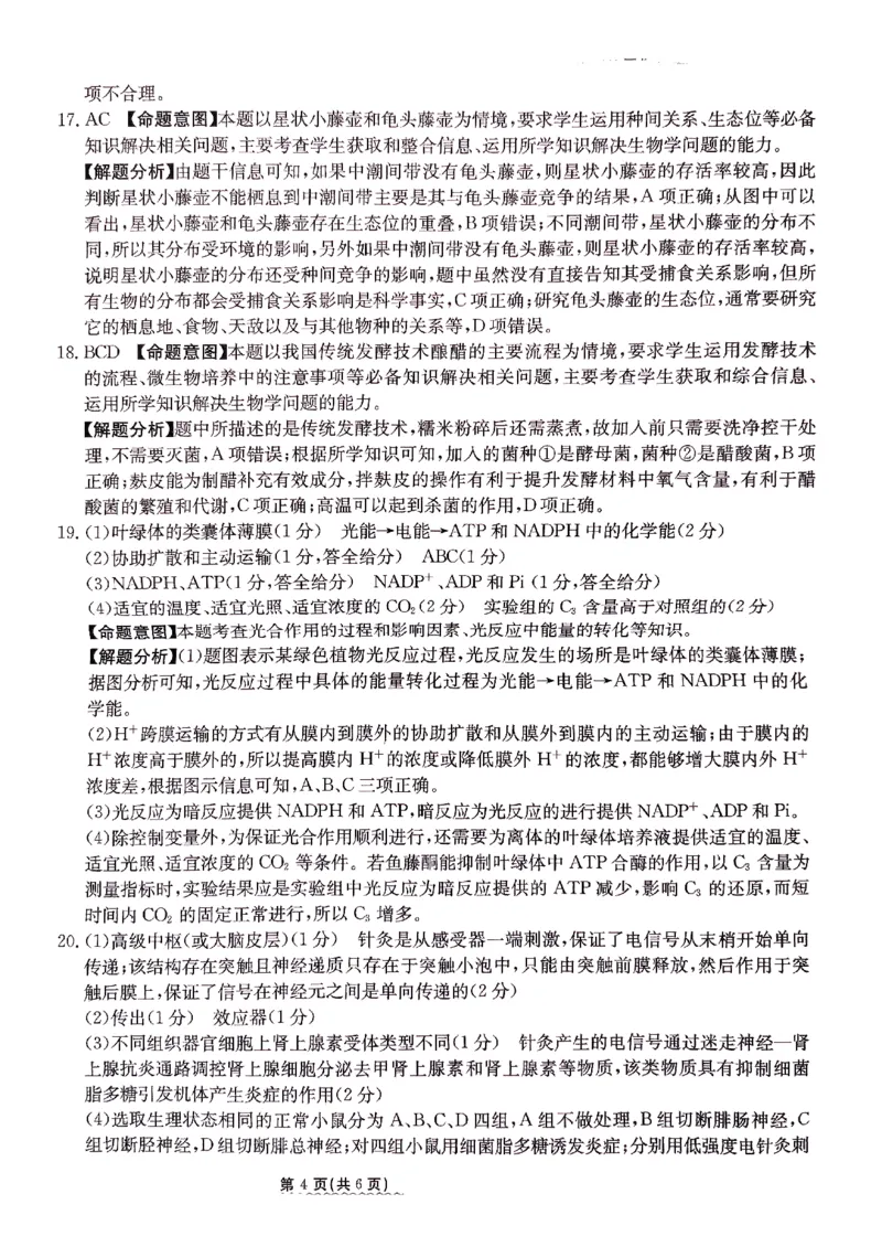 2024届河北省高三下学期普通高中学业水平选择性考试生物参考答案_2024年3月_013月合集_2024届河北省高中学业水平选择性考试模拟试题（四）