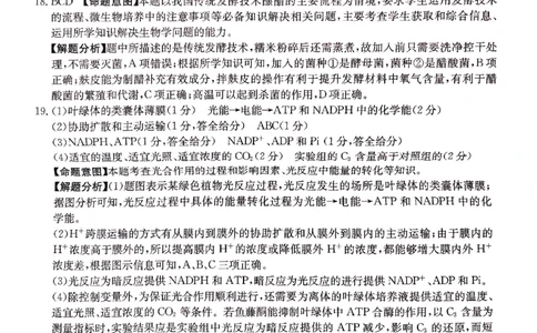 2024届河北省高三下学期普通高中学业水平选择性考试生物参考答案_2024年3月_013月合集_2024届河北省高中学业水平选择性考试模拟试题（四）