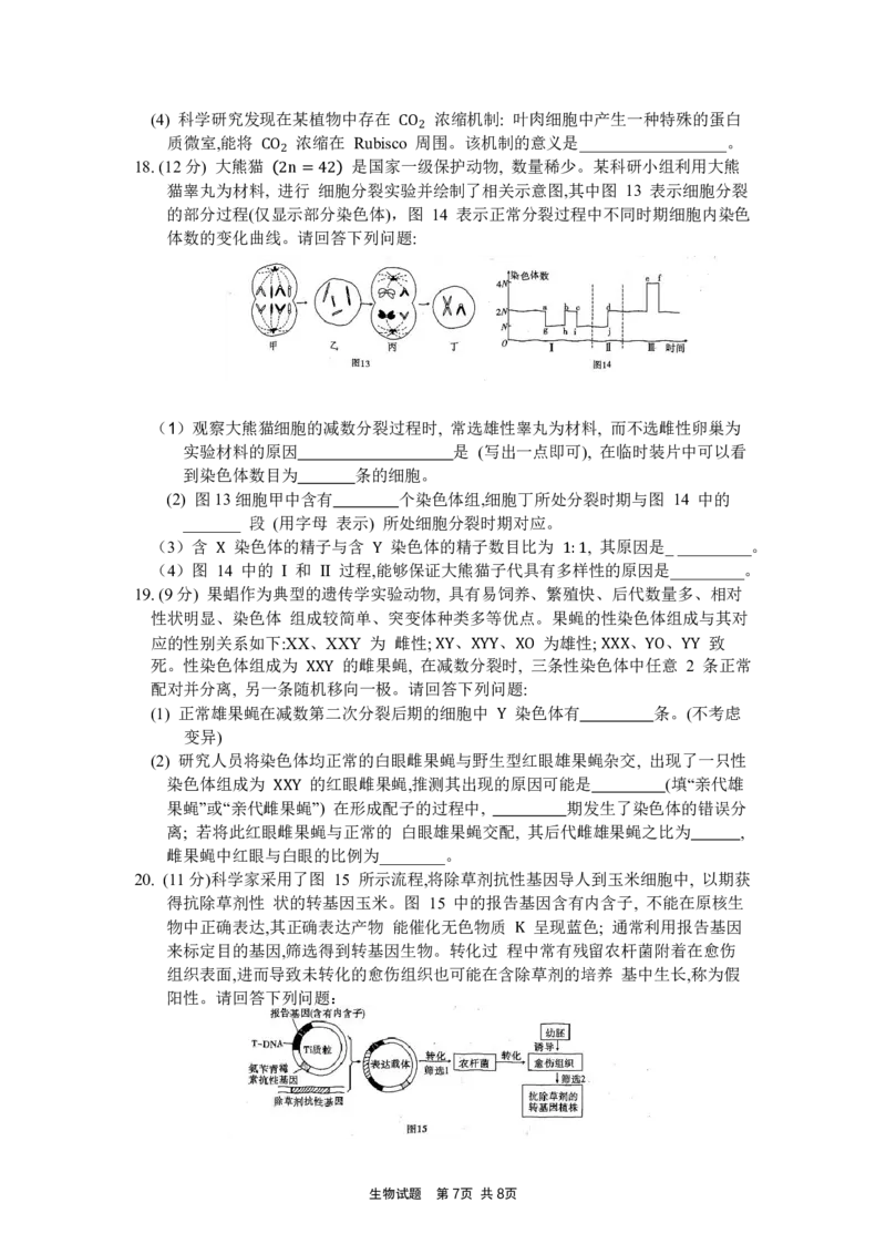 重庆市南开中学高2024届高三第二次质量检测生物试题(1)_2023年10月_0210月合集_2024届重庆市南开中学高高三质量检测（二）_重庆市南开中学高2024届高三质量检测（二）生物