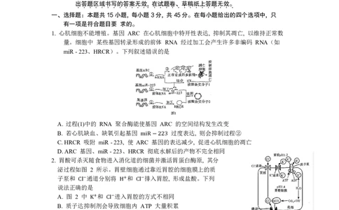 重庆市南开中学高2024届高三第二次质量检测生物试题(1)_2023年10月_0210月合集_2024届重庆市南开中学高高三质量检测（二）_重庆市南开中学高2024届高三质量检测（二）生物