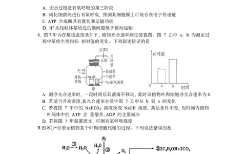重庆市南开中学高2024届高三第二次质量检测生物试题(1)_2023年10月_0210月合集_2024届重庆市南开中学高高三质量检测（二）_重庆市南开中学高2024届高三质量检测（二）生物