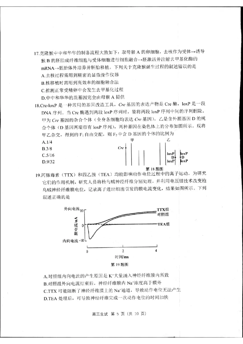2024届浙江省杭州市高三下学期二模生物试题_2024年4月_01按日期_10号_2024届浙江省杭州市高三二模_2024届浙江省杭州市高三下学期教学质量检测（二模）生物试题+