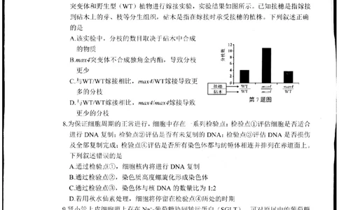 2024届浙江省杭州市高三下学期二模生物试题_2024年4月_01按日期_10号_2024届浙江省杭州市高三二模_2024届浙江省杭州市高三下学期教学质量检测（二模）生物试题+