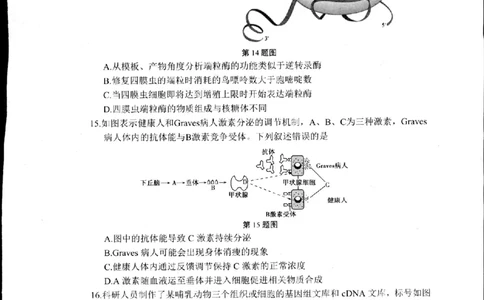 2024届浙江省杭州市高三下学期二模生物试题_2024年4月_01按日期_10号_2024届浙江省杭州市高三二模_2024届浙江省杭州市高三下学期教学质量检测（二模）生物试题+