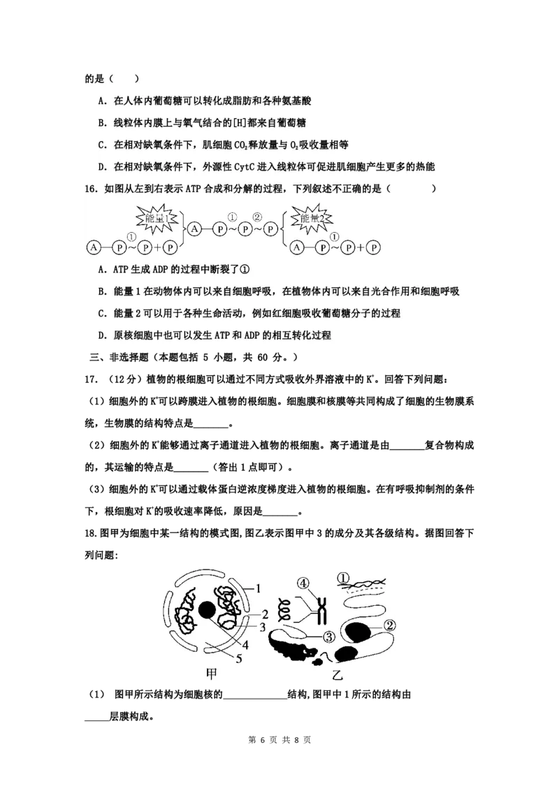 江西省丰城中学2023-2024学年高三上学期开学考试生物(1)_2023年9月_029月合集_2024届江西省宜春市丰城中学高三上学期开学考试