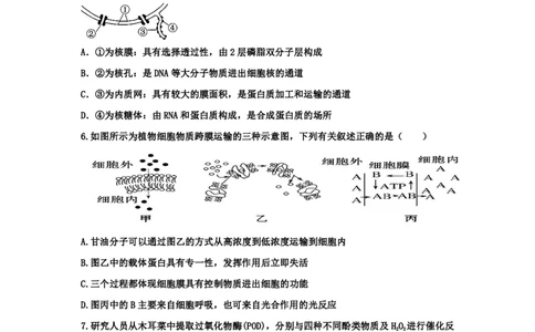 江西省丰城中学2023-2024学年高三上学期开学考试生物(1)_2023年9月_029月合集_2024届江西省宜春市丰城中学高三上学期开学考试