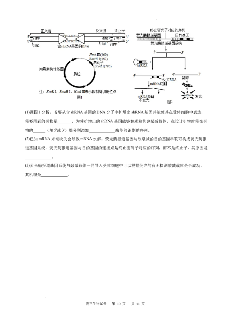 重庆市缙云教育联盟2022-2023学年高三8月质量检测生物试题_2023年7月_01每日更新_24号_2023届重庆市缙云教育联盟高三8月质量检测_重庆市缙云教育联盟2022-2023学年高三8月质量检测生物试题