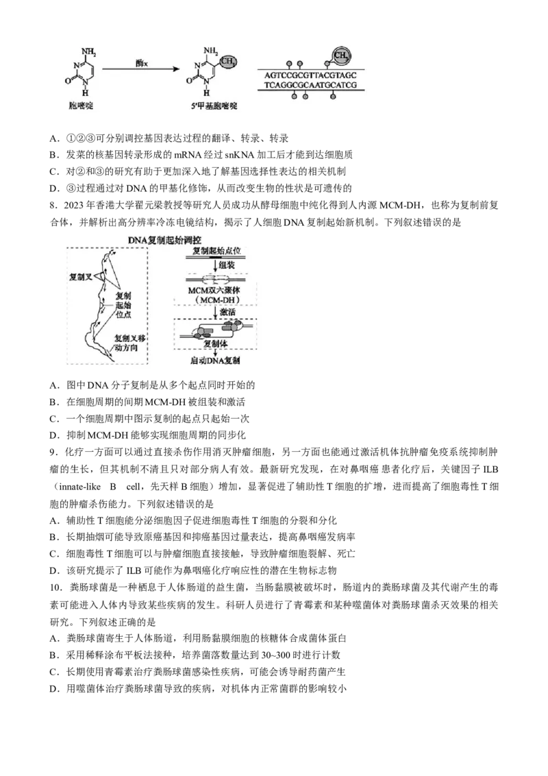 2024届安徽省鼎尖联盟高三下学期三模联考生物试题(1)_2024年5月_025月合集_2024届安徽省鼎尖联盟高三下学期三模联考