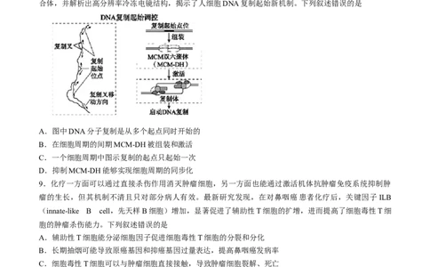 2024届安徽省鼎尖联盟高三下学期三模联考生物试题(1)_2024年5月_025月合集_2024届安徽省鼎尖联盟高三下学期三模联考