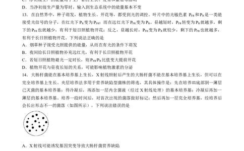2024届安徽省鼎尖联盟高三下学期三模联考生物试题(1)_2024年5月_025月合集_2024届安徽省鼎尖联盟高三下学期三模联考