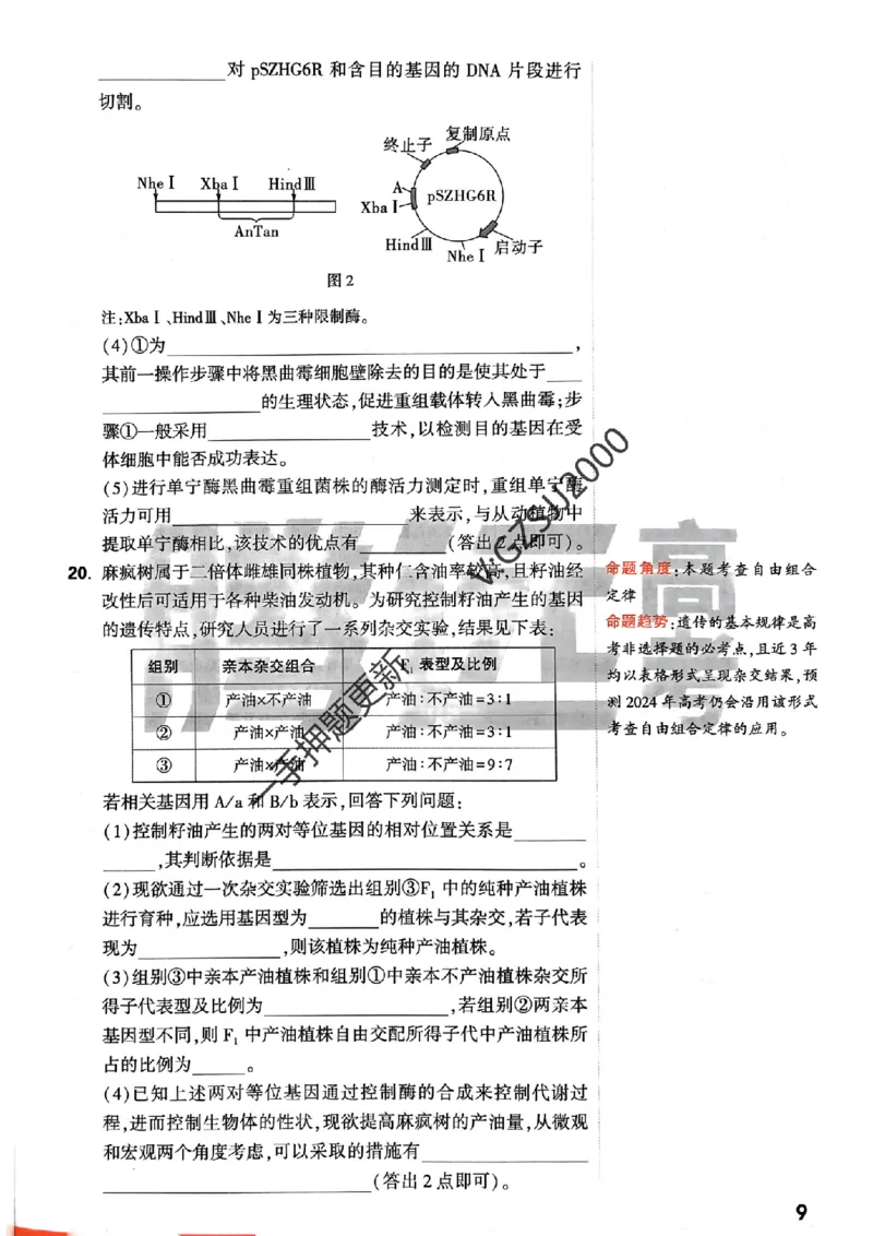 生物学命题集+答案_2024高考押题卷_32024腾远黑白卷_2024腾远高考黑白卷（新课标卷）_命题集