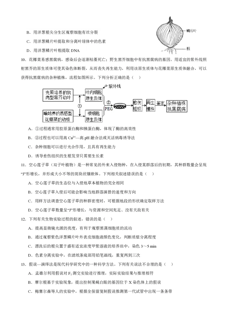 江苏省南通市如皋市2023-2024学年高三上学期期初考试押题生物(1)_2023年8月_028月合集_2024届江苏省南通市如皋市高三上学期期初考试押题卷