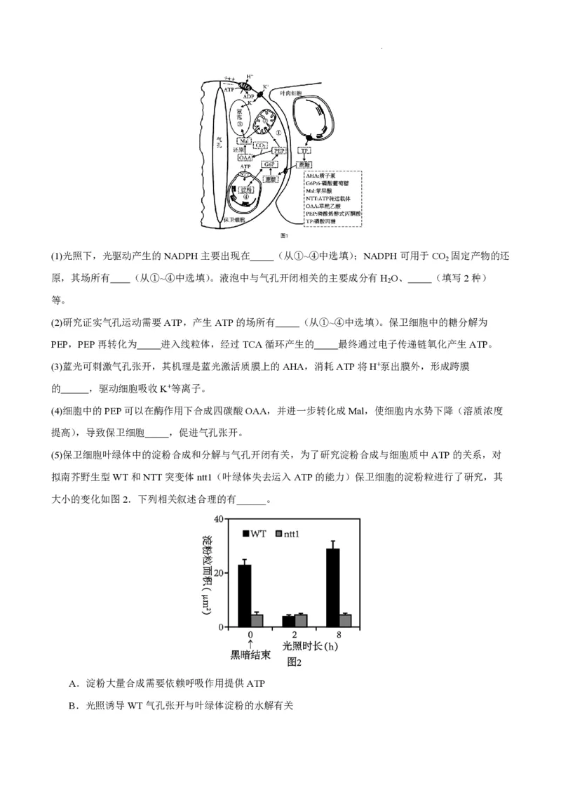 江苏省南通市如皋市2023-2024学年高三上学期期初考试押题生物(1)_2023年8月_028月合集_2024届江苏省南通市如皋市高三上学期期初考试押题卷