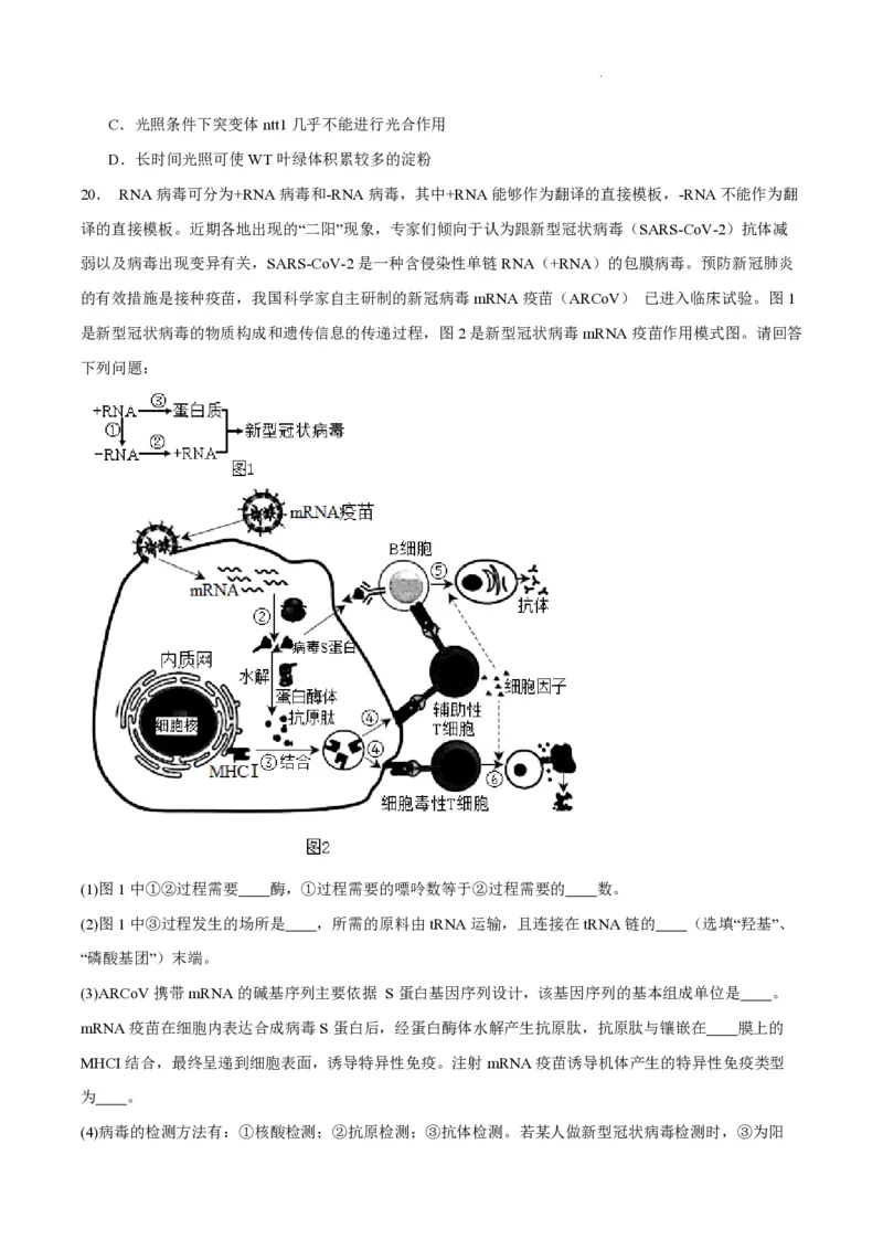 江苏省南通市如皋市2023-2024学年高三上学期期初考试押题生物(1)_2023年8月_028月合集_2024届江苏省南通市如皋市高三上学期期初考试押题卷