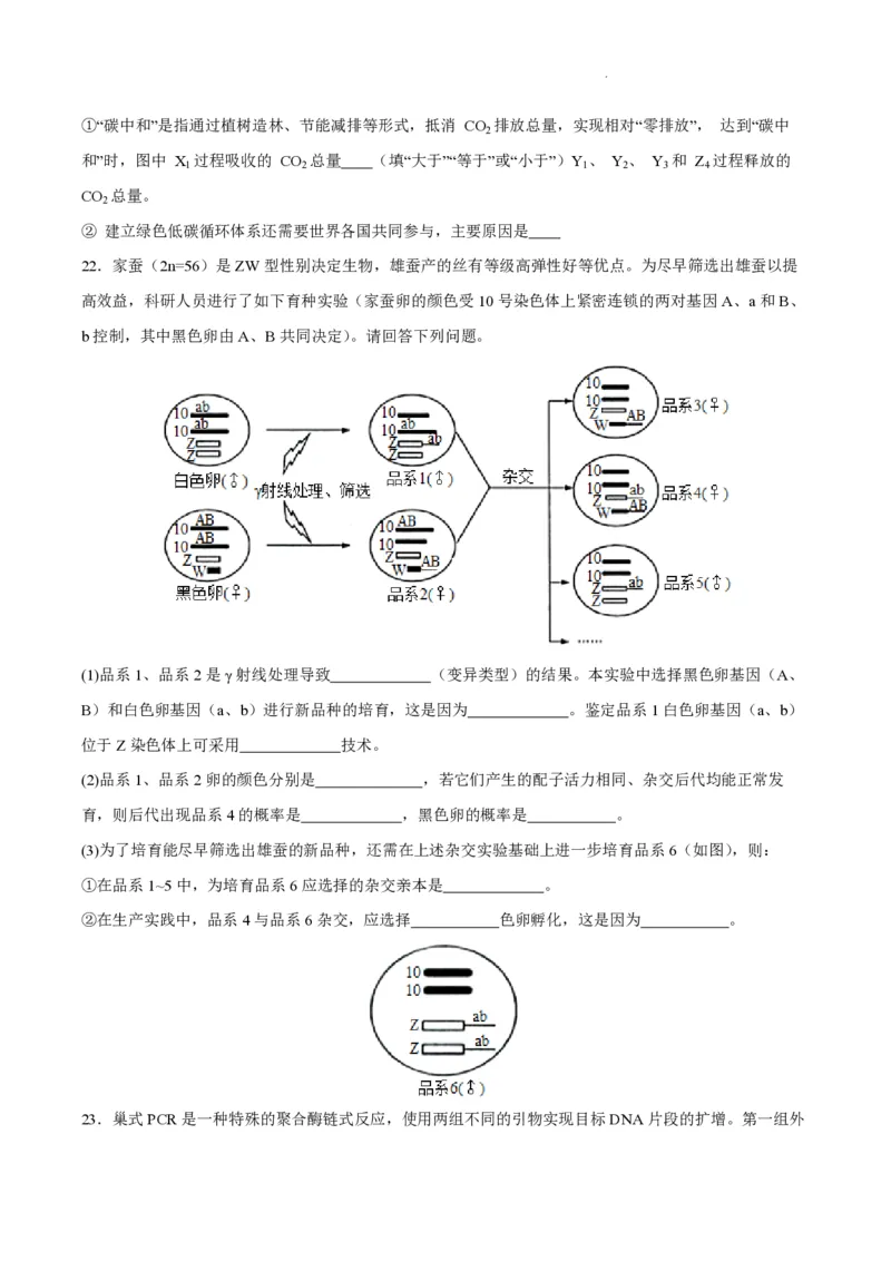 江苏省南通市如皋市2023-2024学年高三上学期期初考试押题生物(1)_2023年8月_028月合集_2024届江苏省南通市如皋市高三上学期期初考试押题卷