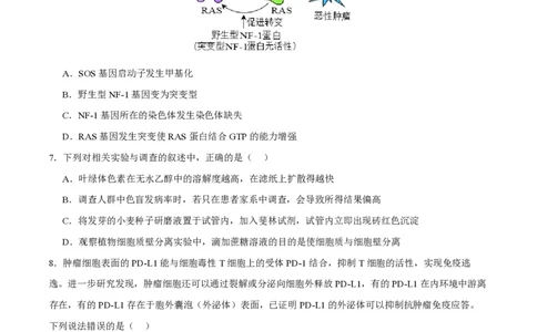 江苏省南通市如皋市2023-2024学年高三上学期期初考试押题生物(1)_2023年8月_028月合集_2024届江苏省南通市如皋市高三上学期期初考试押题卷