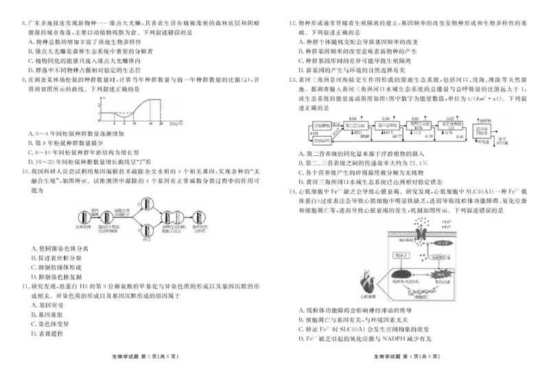 2025届新高三开学联考生物正文_8月_2408032025届广东衡水金卷新高三8月开学联考_2025届广东衡水金卷新高三8月开学联考生物试卷