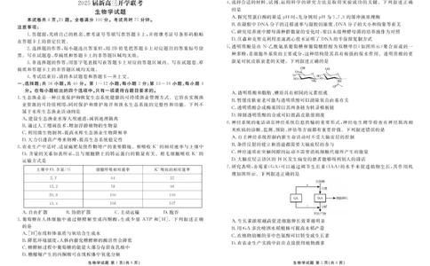 2025届新高三开学联考生物正文_8月_2408032025届广东衡水金卷新高三8月开学联考_2025届广东衡水金卷新高三8月开学联考生物试卷