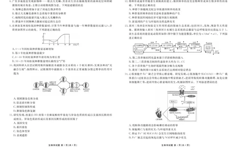 2025届新高三开学联考生物正文_8月_2408032025届广东衡水金卷新高三8月开学联考_2025届广东衡水金卷新高三8月开学联考生物试卷
