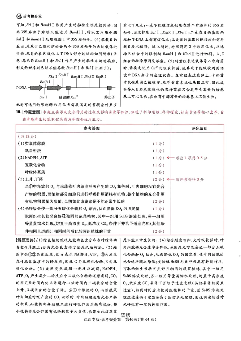 王后雄高考押题预测卷2024江西专版诊考提分册_2024高考押题卷_22024王hou雄_（新高考）2024王后雄押题预测卷（分科版）_1.语文