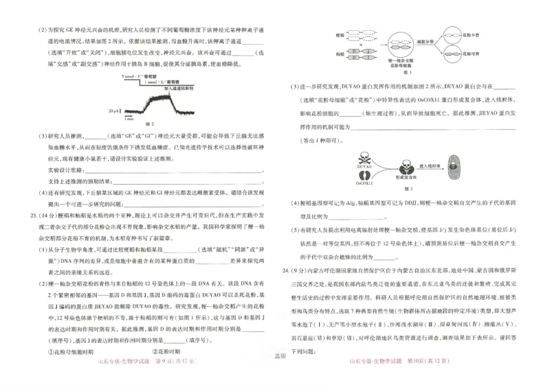王后雄高考押题预测卷2024山东专版-生物_2024高考押题卷_22024王hou雄_16王后雄押题_2024年王后雄高考押题预测卷（山东专版）