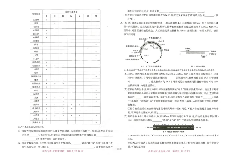 王后雄高考押题预测卷2024山东专版-生物_2024高考押题卷_22024王hou雄_16王后雄押题_2024年王后雄高考押题预测卷（山东专版）