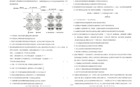 王后雄高考押题预测卷2024山东专版-生物_2024高考押题卷_22024王hou雄_16王后雄押题_2024年王后雄高考押题预测卷（山东专版）