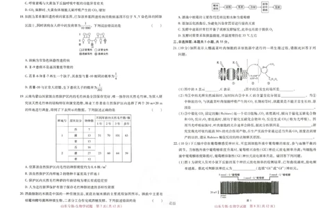 王后雄高考押题预测卷2024山东专版-生物_2024高考押题卷_22024王hou雄_16王后雄押题_2024年王后雄高考押题预测卷（山东专版）