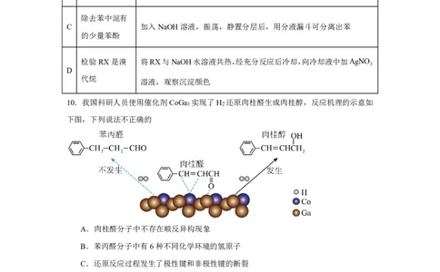 辽宁省沈阳市新民市高级中学2023-2024学年高三上学期9月开学考试化学(1)_2023年9月_029月合集_2024届辽宁省新民中学高三上学期开学考试