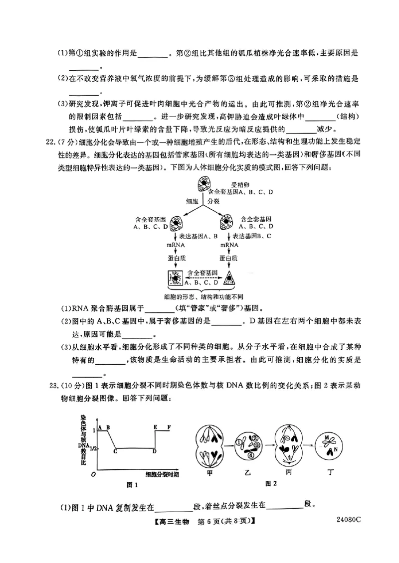 陕西省宝鸡教育联盟2024届高三上学期阶段性检测（二）生物(1)_2023年10月_0210月合集_2024届陕西省宝鸡教育联盟高三上学期阶段性检测（二）